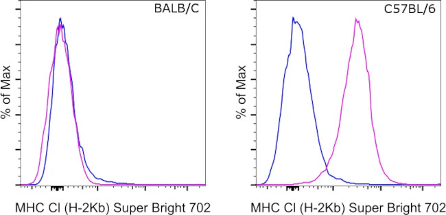 MHC Class I (H-2kb) Monoclonal Antibody (AF6-88.5.5.3), Super Bright 702, eBioscience