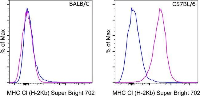 MHC Class I (H-2kb) Monoclonal Antibody (AF6-88.5.5.3), Super Bright™ 702, eBioscience™
