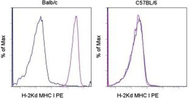 MHC Class I (H-2Kd) Monoclonal Antibody (SF1-1.1.1), PE, eBioscience