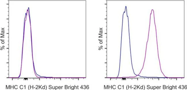 MHC Class I (H-2Kd) Monoclonal Antibody (SF1-1.1.1), Super Bright 436, eBioscience