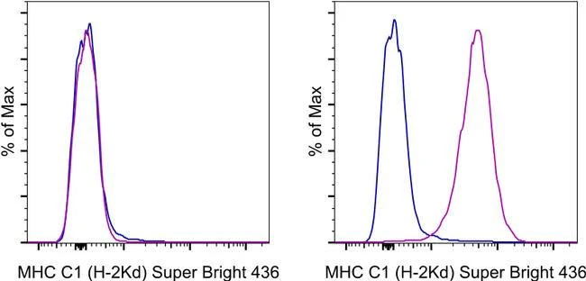 MHC Class I (H-2Kd) Monoclonal Antibody (SF1-1.1.1), Super Bright™ 436, eBioscience™