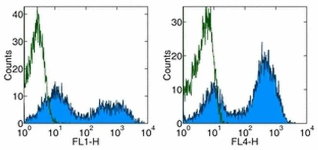 MHC Class II (I-A/I-E) Monoclonal Antibody (M5/114.15.2), Functional Grade, eBioscience