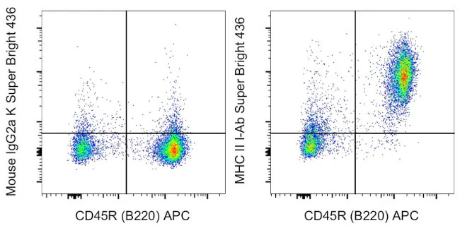 MHC Class II I-Ab Monoclonal Antibody (AF6-120.1), Super Bright 436, eBioscience