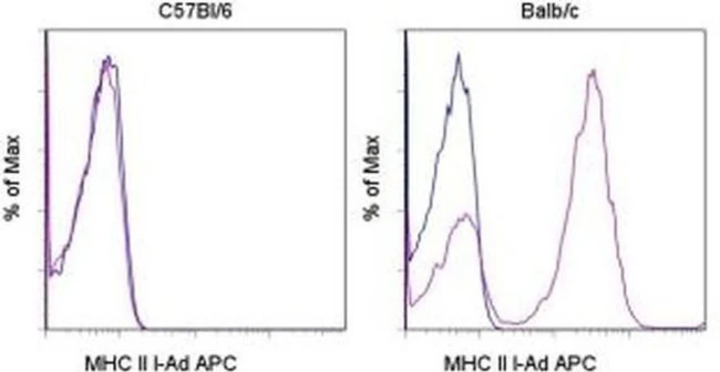 MHC Class II I-Ad Monoclonal Antibody (AMS-32.1), APC, eBioscience