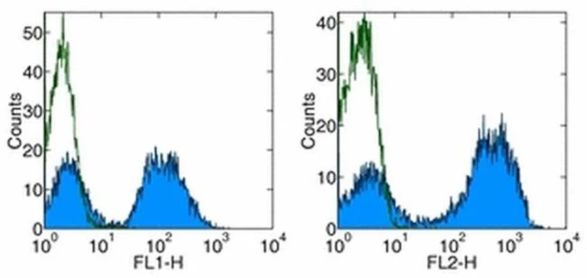 MHC Class II (I-Ek) Monoclonal Antibody (14-4-4S), PE, eBioscience