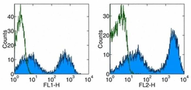 MHC Class II Monoclonal Antibody (HIS19), PE, eBioscience
