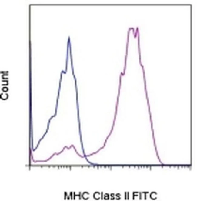 MHC Class II Monoclonal Antibody (YKIX334.2), FITC, eBioscience