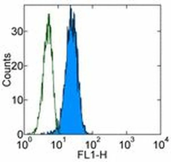 MICA/B Monoclonal Antibody (6D4), eBioscience