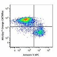 MitoSpy™ Orange CMTMRos - Image 2