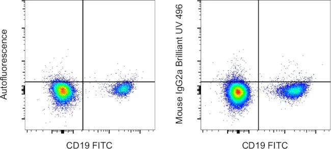 Mouse IgG2a kappa Isotype Control (eBM2a), Brilliant Ultra Violet 496, eBioscience