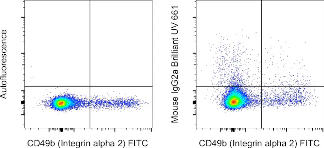 Mouse IgG2a kappa Isotype Control (eBM2a), Brilliant Ultra Violet™ 661, eBioscience™