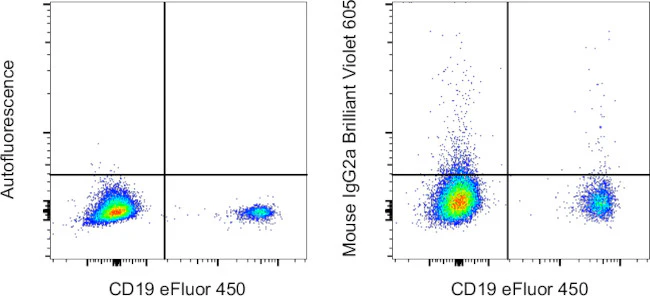 Mouse IgG2a kappa Isotype Control (eBM2a), Brilliant Violet 605, eBioscience