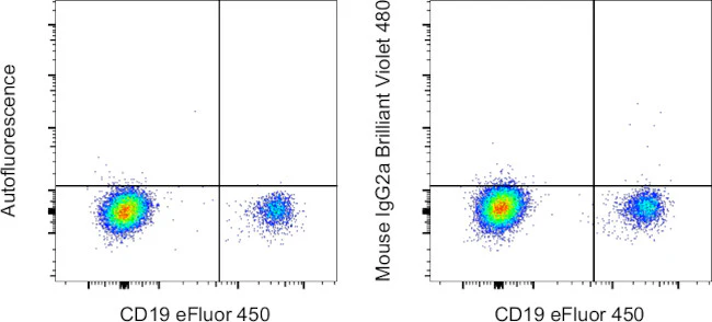 Mouse IgG2a kappa Isotype Control (eBM2a), Brilliant Violet™ 480, eBioscience™