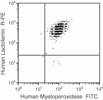 Myeloperoxidase Monoclonal Antibody (8E6), FITC