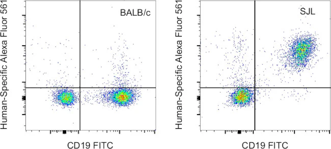 NK1.1 Monoclonal Antibody (PK136), Alexa Fluor 561, eBioscience