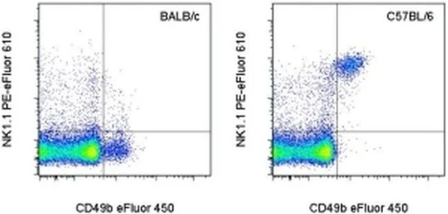 NK1.1 Monoclonal Antibody (PK136), PE-eFluor 610, eBioscience