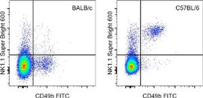 NK1.1 Monoclonal Antibody (PK136), Super Bright 600, eBioscience