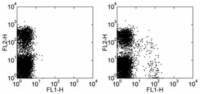 NKG2A/C/E Monoclonal Antibody (20d5), FITC, eBioscience