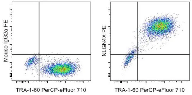 NLGN4X (Neuroligin-4) Monoclonal Antibody (CSTEM30), PE, eBioscience