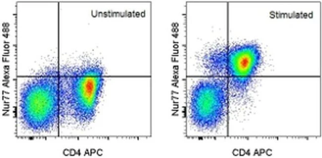 Nur77 Monoclonal Antibody (12.14), Alexa Fluor 488, eBioscience