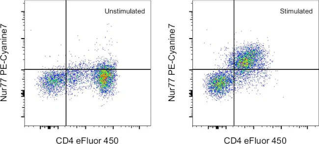 Nur77 Monoclonal Antibody (12.14), PE-Cyanine7, eBioscience