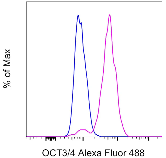 OCT3/4 Monoclonal Antibody (EM92), Alexa Fluor 488, eBioscience