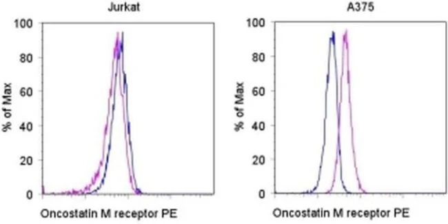OSMR Monoclonal Antibody (AN-V2), PE, eBioscience