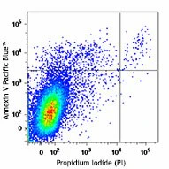 Pacific Blue™ Annexin V Apoptosis Detection Kit with PI - Image 2