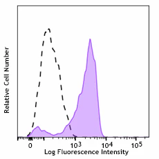 Pacific Blue™ anti-human CD206 (MMR)