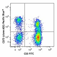 Pacific Blue™ anti-human CD73 (Ecto-5'-nucleotidase)