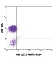 Pacific Blue™ anti-human IL-2 - Image 2