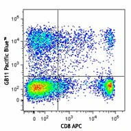 Pacific Blue™ anti-human/mouse Granzyme B