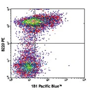 Pacific Blueâ„¢ anti-mouse CD1d (CD1.1, Ly-38)