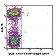 Pacific Blueâ„¢ anti-mouse CD1d (CD1.1, Ly-38) - Image 2