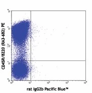 Pacific Blue™ anti-mouse CD317 (BST2, PDCA-1) - Image 2