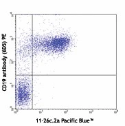 Pacific Blue™ anti-mouse IgD