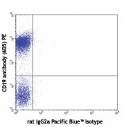 Pacific Blue™ anti-mouse IgD - Image 2