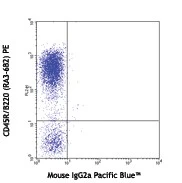Pacific Blueâ„¢ anti-mouse Ly108 - Image 2