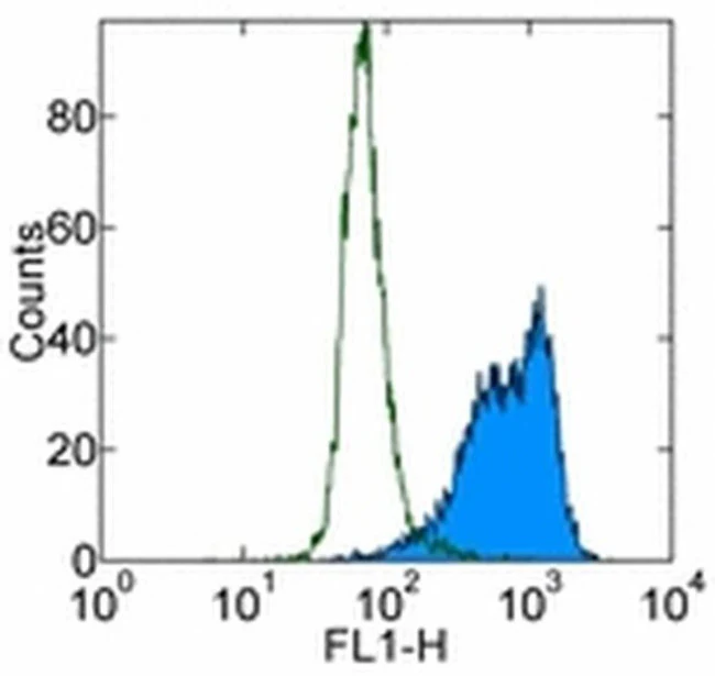 PCNA Monoclonal Antibody (PC10 (3F81)), eBioscience