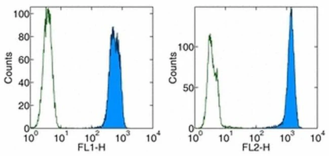 PCNA Monoclonal Antibody (PC10 (3F81)), PE, eBioscience