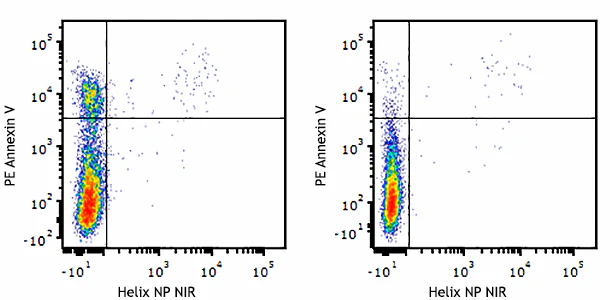 PE Annexin V