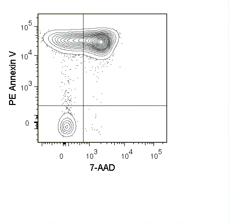 PE Annexin V Apoptosis Detection Kit with 7-AAD