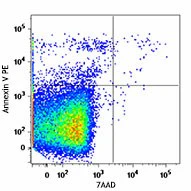 PE Annexin V Apoptosis Detection Kit with 7-AAD - Image 2