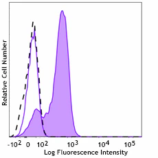 PE anti-γ-Catenin