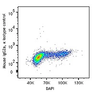 PE anti-Cyclin A - Image 2