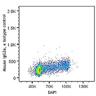 PE anti-Cyclin A - Image 4
