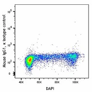 PE anti-Cyclin D3 - Image 2