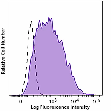 PE anti-EGFR Phospho (Tyr845) Recombinant