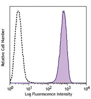 PE anti-FOLR1 (Folate Binding Protein)