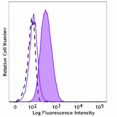 PE anti-FosB